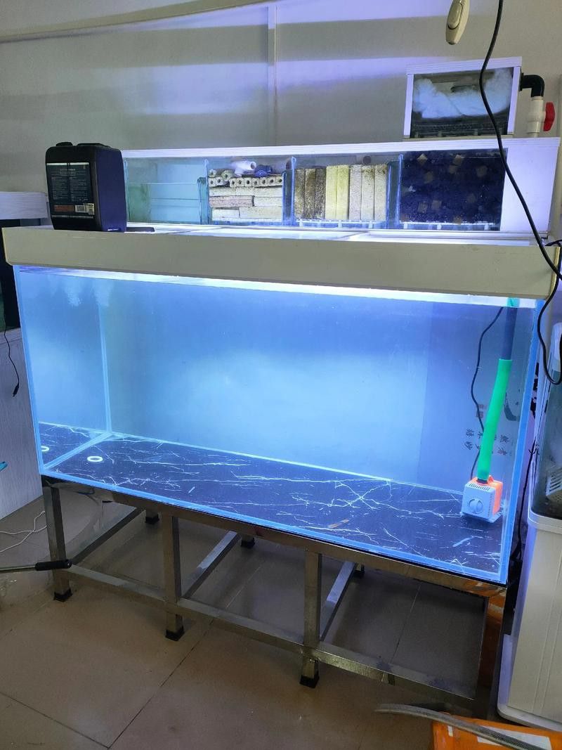 適合龍魚的魚缸尺寸圖