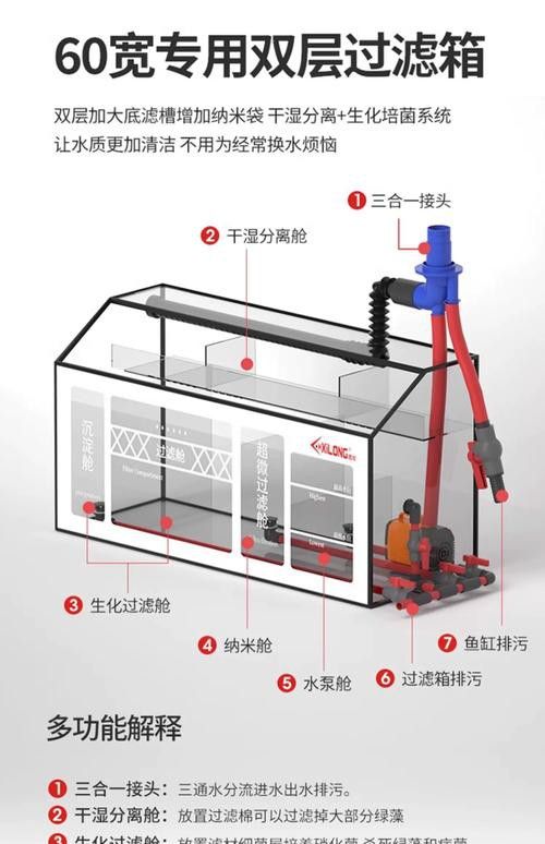 適合龍魚的魚缸尺寸圖