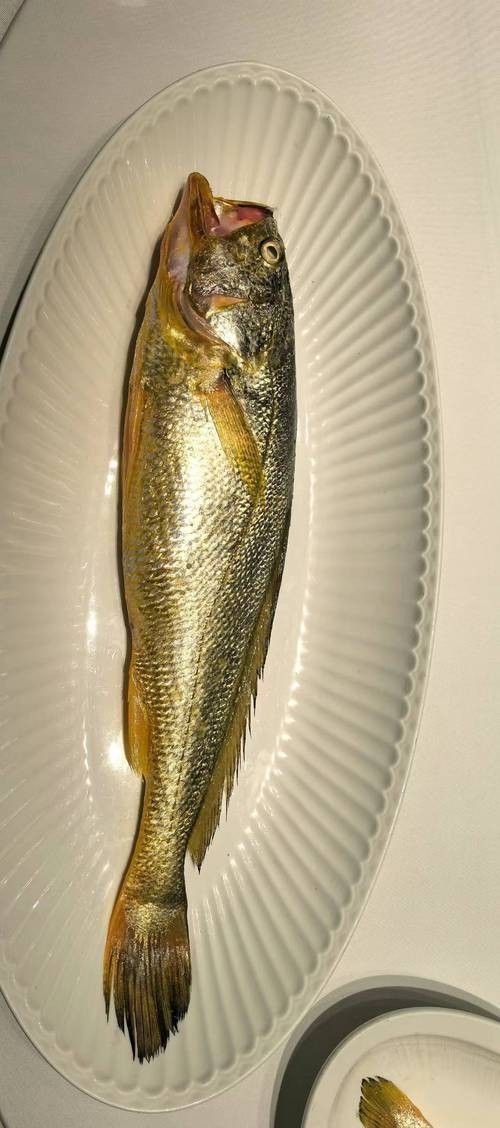 黃花魚和金龍魚