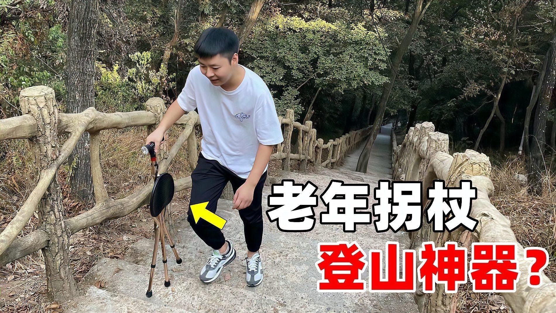 龍頭拐杖有哪些品牌推薦？