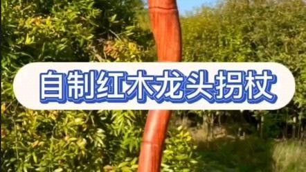 龍頭拐杖有哪些品牌推薦？