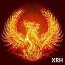 金叵羅魚屬于什么檔次