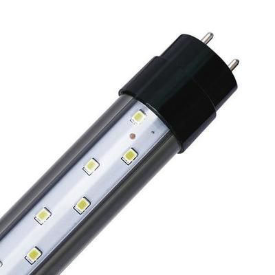 龍魚用led燈跟nec燈哪個(gè)好：龍魚用led燈跟nec燈哪個(gè)好呢？