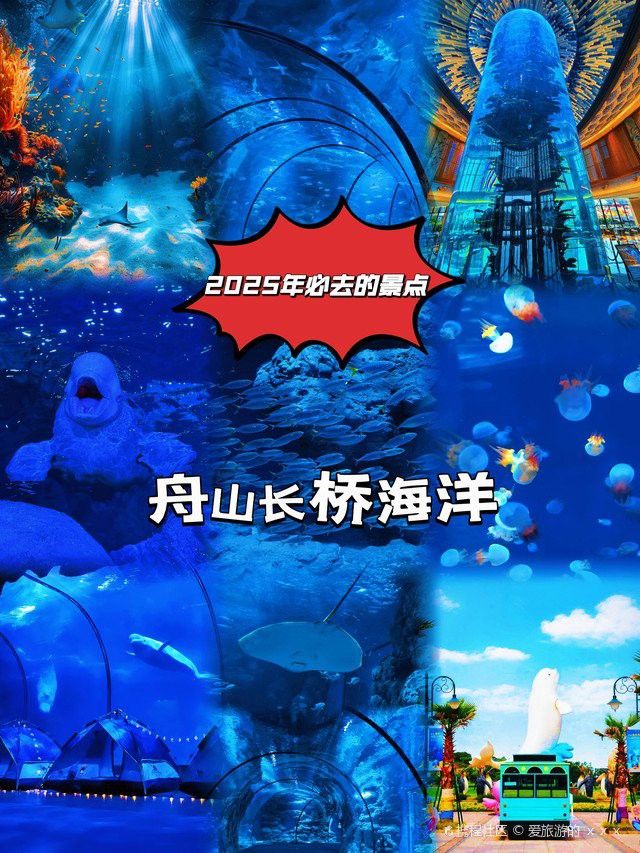 舟山小白龍魚養殖基地地址