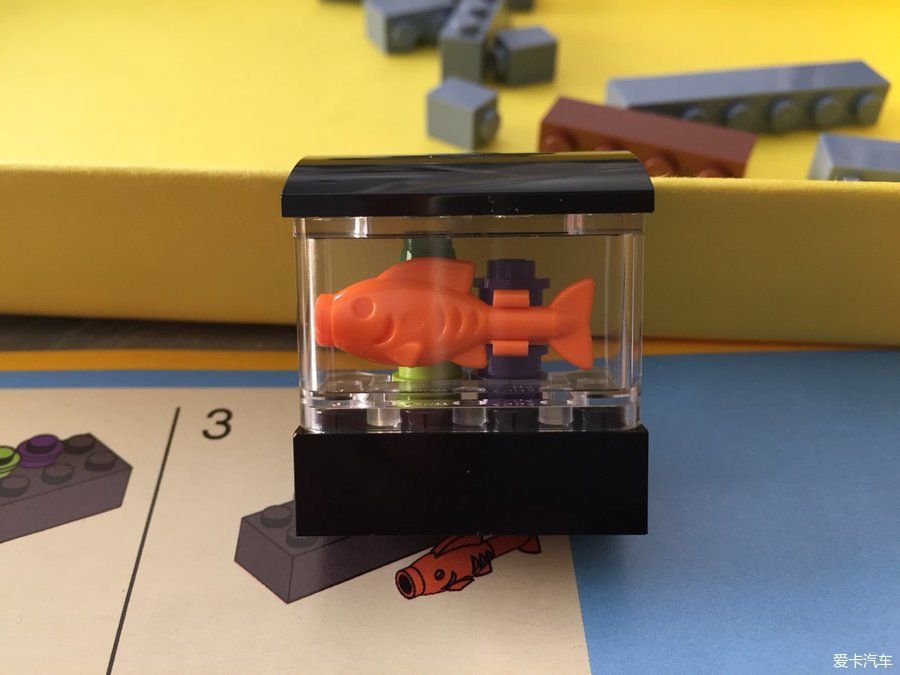 龍魚麻醉過程中的最佳水溫：龍魚麻醉的最佳水溫是多少？