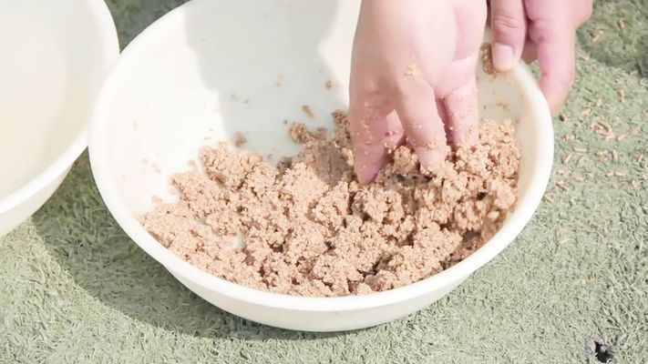 銀古魚苗飼料適口性測(cè)試方法：銀古魚苗的飼料適口性測(cè)試方法 銀古魚苗飼料適口性測(cè)試方法：銀古魚苗的飼料適口性測(cè)試方法 龍魚百科 第2張