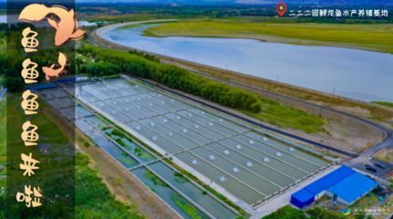 龍魚養殖基地地址查詢：南京淳化街道龍魚養殖基地
