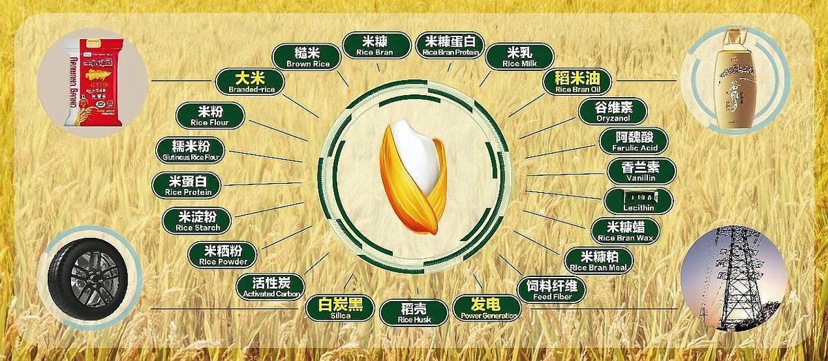 回收金龍魚可以做什么