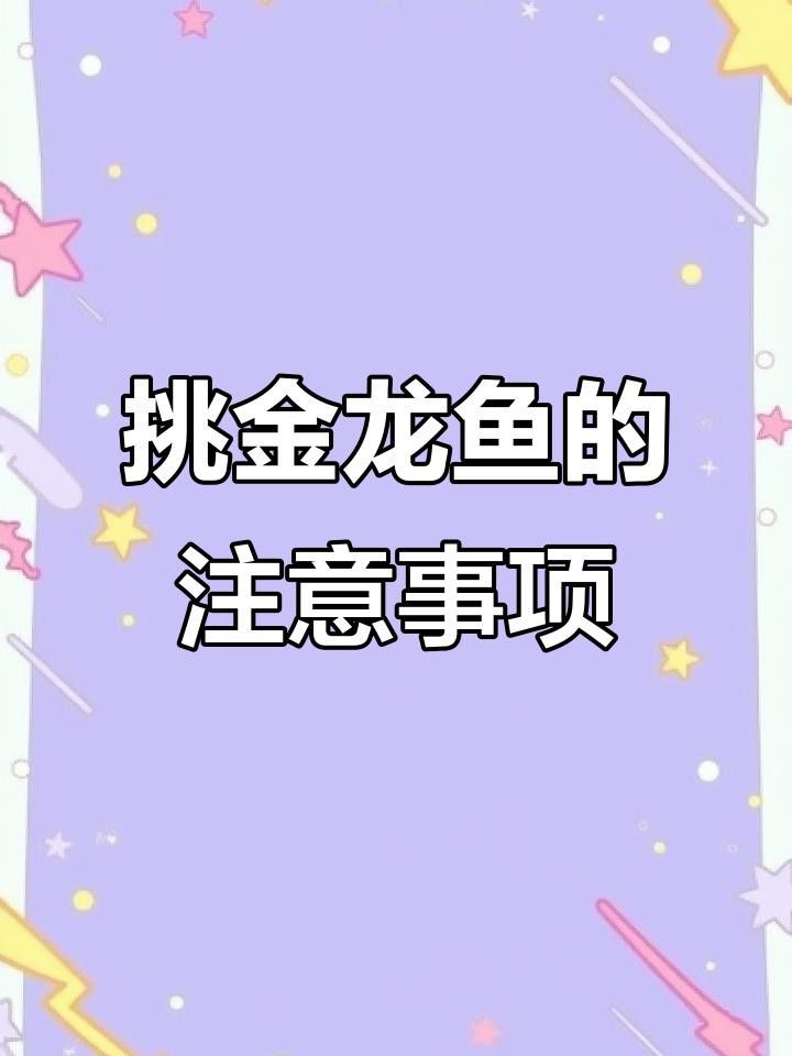 挑選金龍魚時(shí)需要注意哪些細(xì)節(jié)