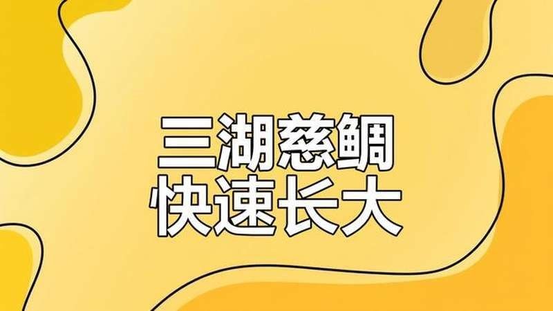 銀龍魚苗一個月能長多大啊視頻