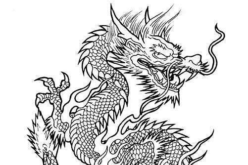 銀龍魚圖片大全素描圖高清