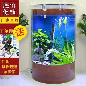 金龍魚缸水變綠怎么辦：金龍魚缸水變綠怎么辦金龍魚缸水變綠怎么辦