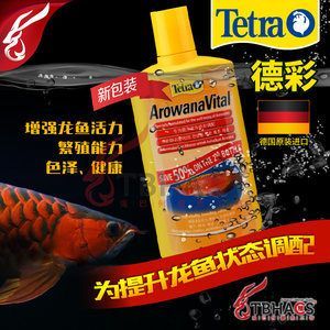 龍魚需要依賴進口嗎？：雖然市場上大部分名貴龍魚在國內(nèi)流通