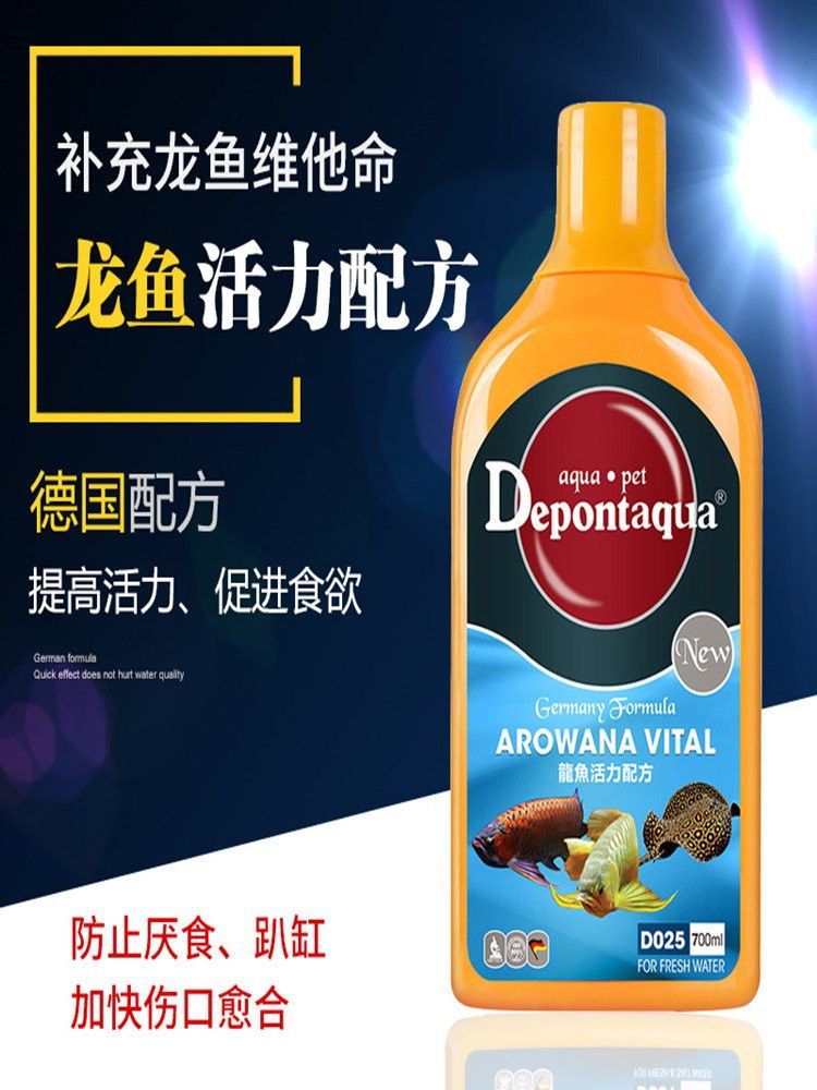 哪些食物對龍魚尾巴恢復最好？