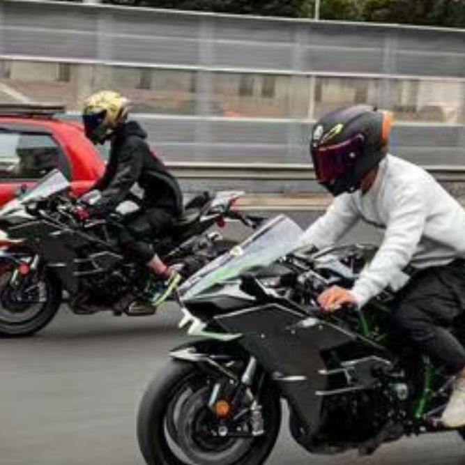 金龍鰍的寓意 金龍鰍的寓意 龍魚百科 第2張