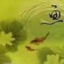 金龍鰍的寓意 金龍鰍的寓意 龍魚百科 第4張