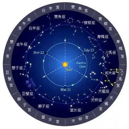 金龍鰍的寓意 金龍鰍的寓意 龍魚百科 第12張