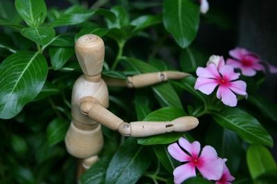 廣州雷龍魚專賣店（雷龍魚養殖基地聯系方式,）