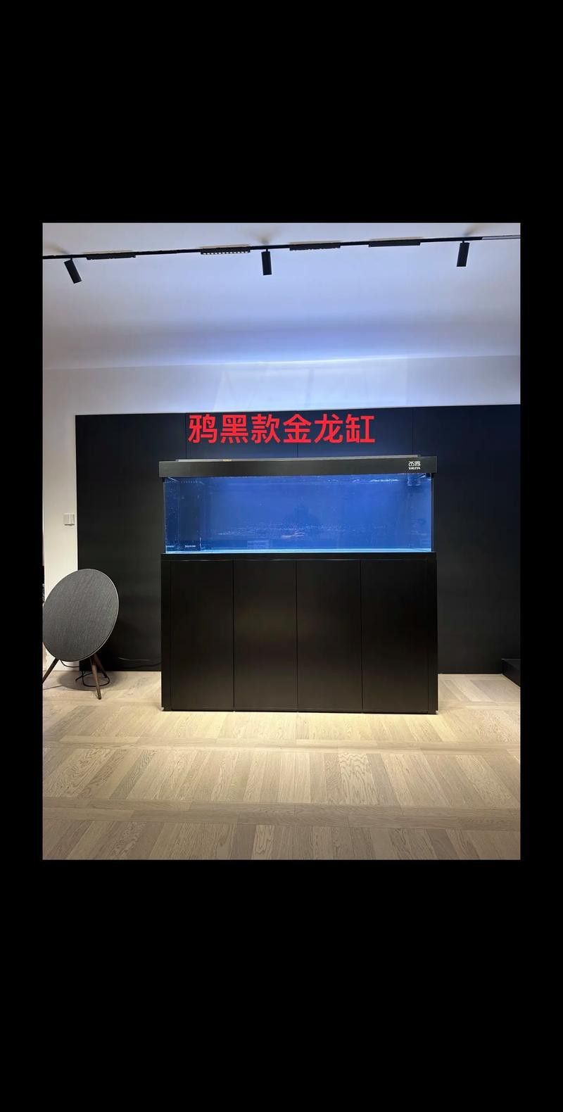 金龍魚缸圖片大全集欣賞