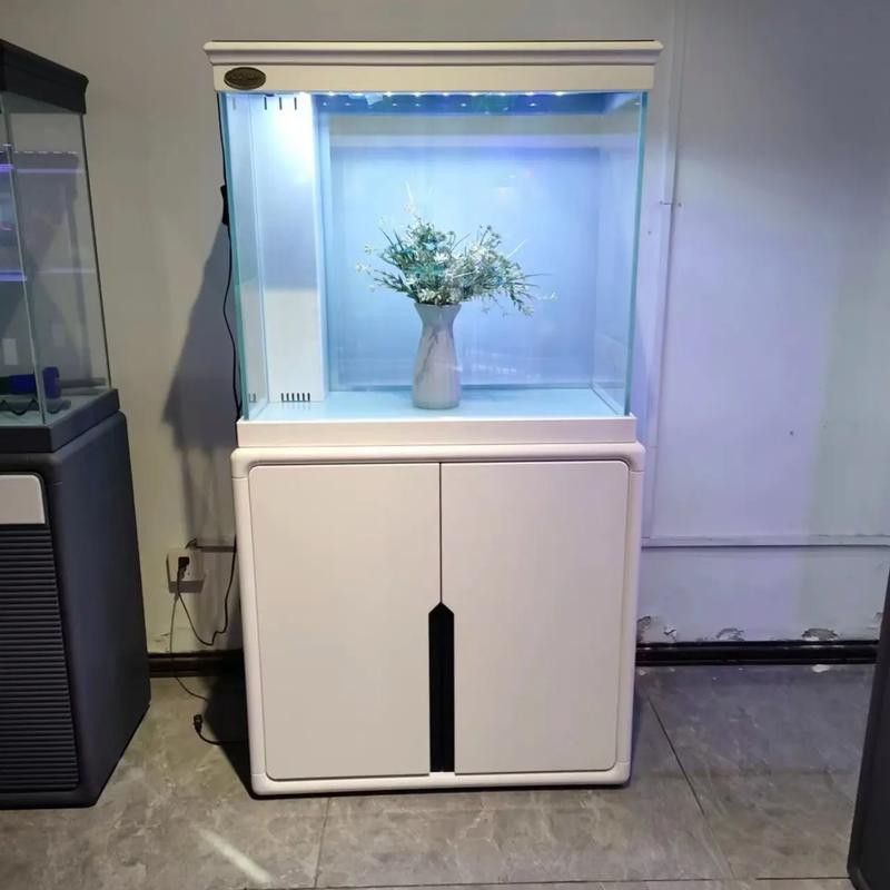 金龍魚缸圖片大全集欣賞