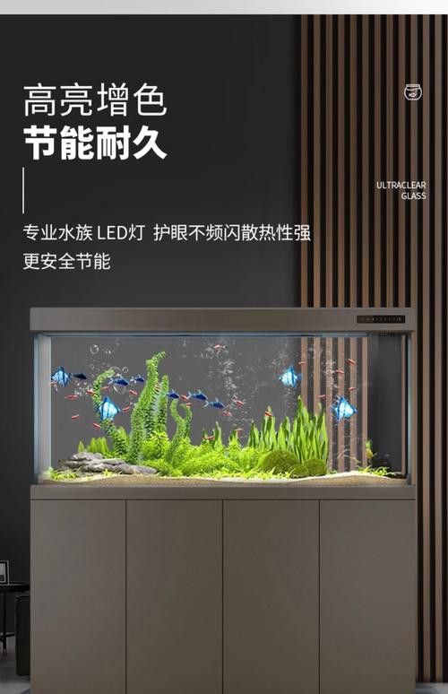金龍魚缸圖片大全集欣賞