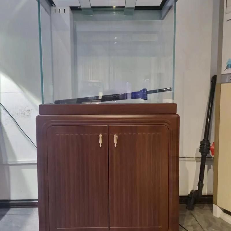 金龍魚缸圖片大全集欣賞