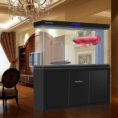 金龍魚缸圖片大全集欣賞