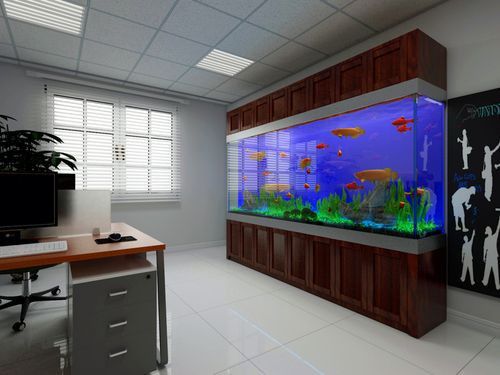 金龍魚缸圖片大全集欣賞