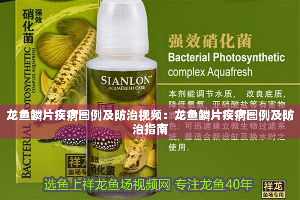 龍魚鱗片疾病圖例及防治視頻：龍魚鱗片疾病圖例及防治指南
