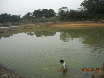 銀龍魚苗水質監測設備推薦：knf-400e水質監測設備推薦