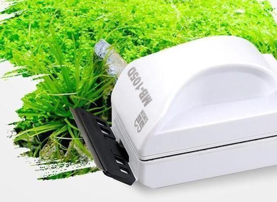 魚缸養魚不換水可以嗎，如何建立高效的魚缸過濾系統魚缸水質檢測方法