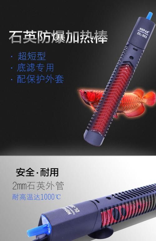 如何選擇適合龍魚的加熱棒？