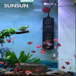 如何選擇適合龍魚的加熱棒？