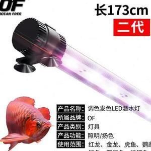 龍魚用什么燈上色：養龍魚時燈光的選擇 龍魚用什么燈上色：養龍魚時燈光的選擇 龍魚百科 第1張