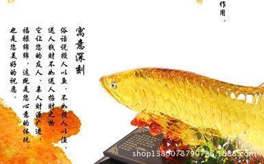 龍魚送人：將龍魚送人是可以的，但需要注意以下幾點(diǎn)