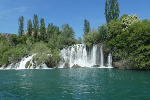 龍魚閣魚缸是哪家生產的品牌：2024年龍魚魚缸十大品牌排行榜龍魚閣魚缸用戶評價匯總