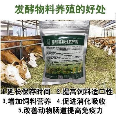 龍魚不停的撞缸：龍魚不停地撞缸是怎么回事？