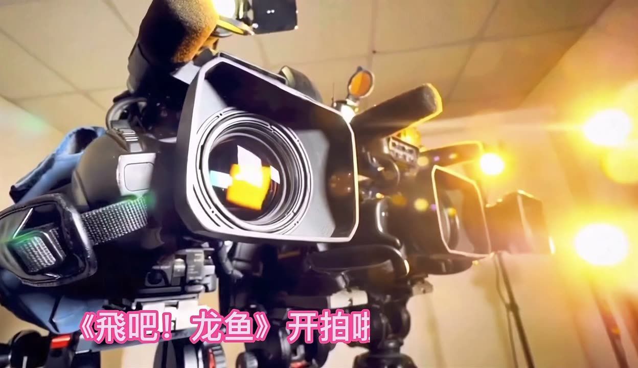 祥龍魚場龍魚出口情況（祥龍魚場涉及龍魚出口信息主要體現在以下幾個方面）