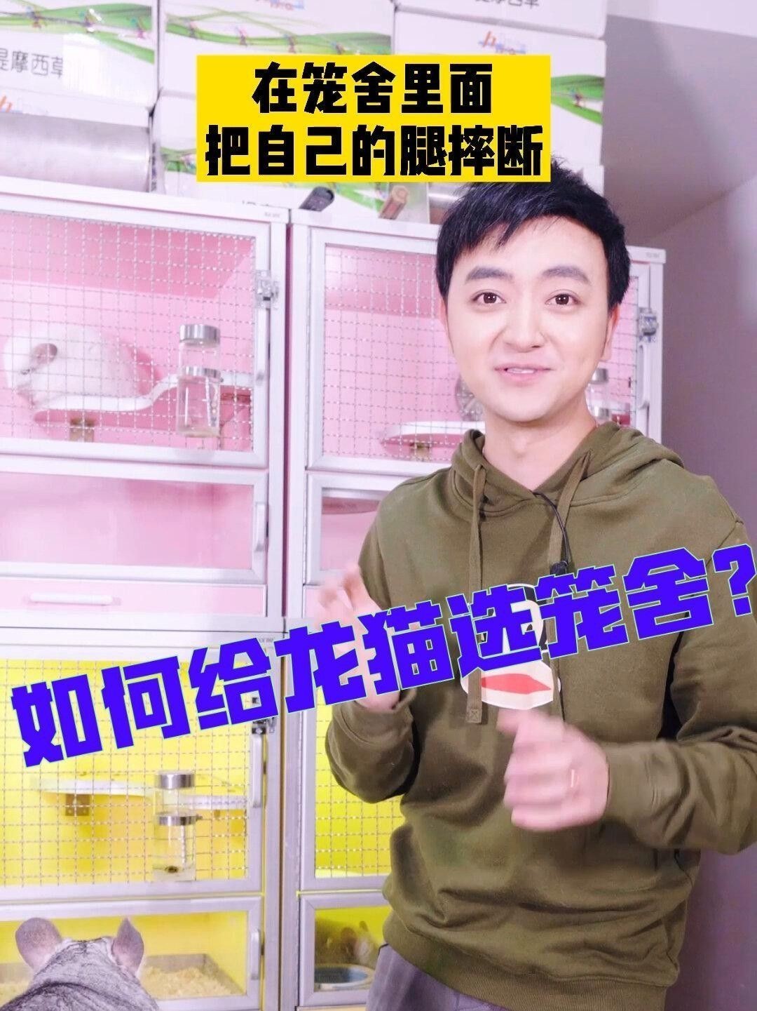 龍貓籠子應(yīng)該放在哪里？