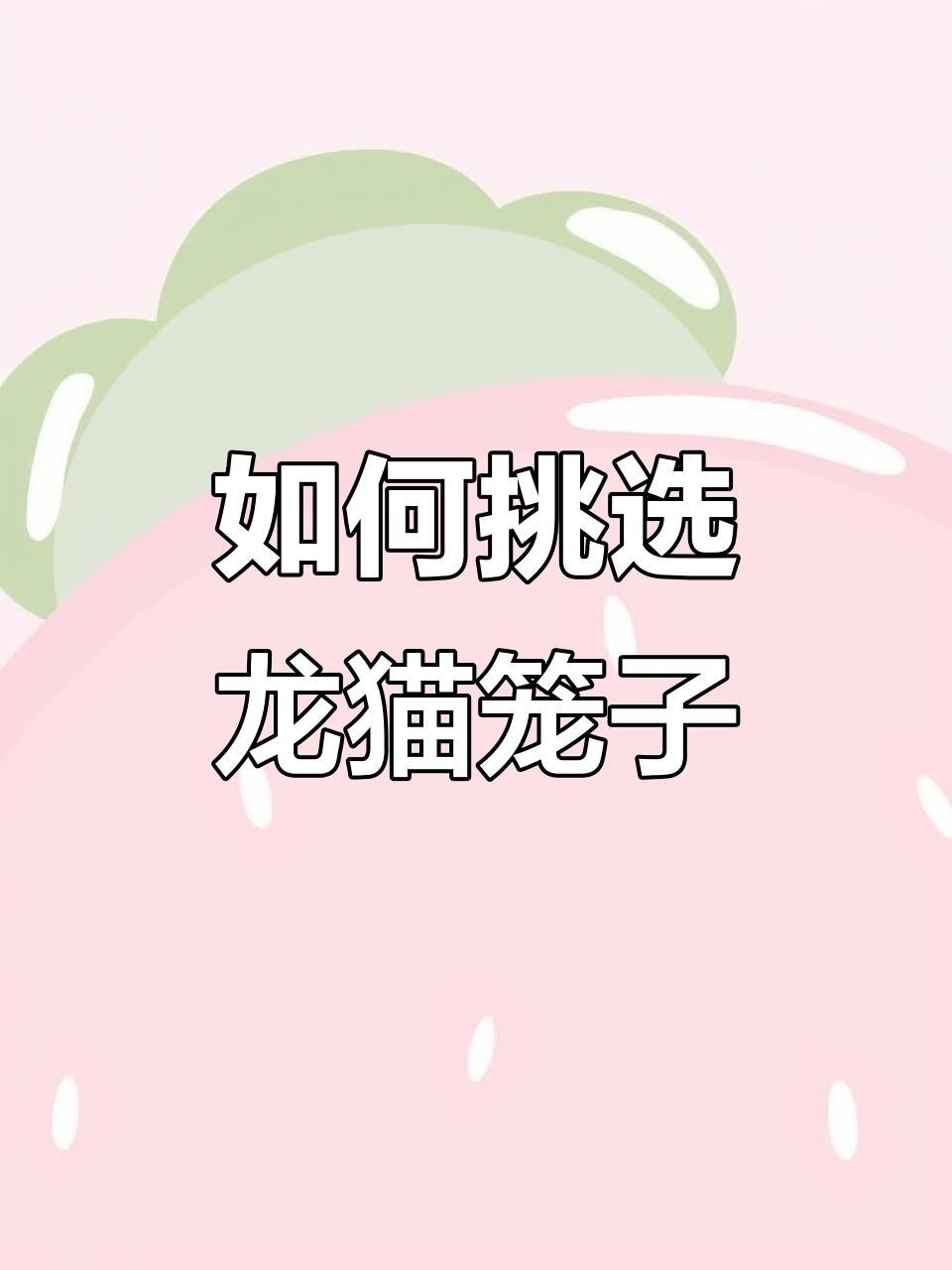 龍貓籠子應(yīng)該放在哪里？