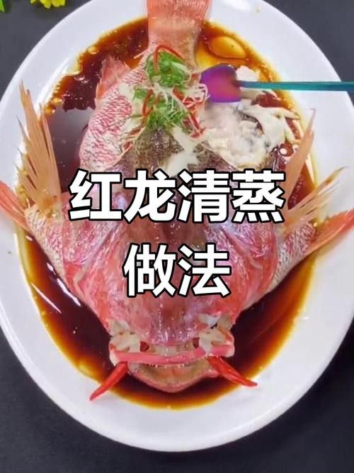 皇宮紅龍魚