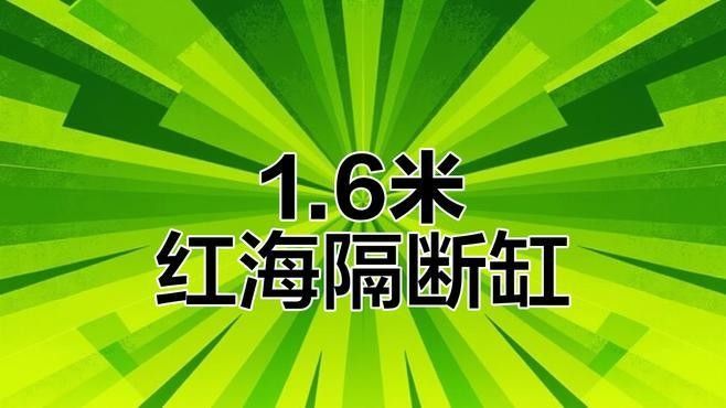 隔離缸需要多大的空間