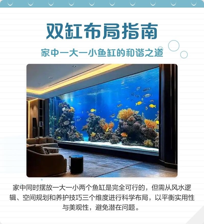 隔離缸需要多大的空間