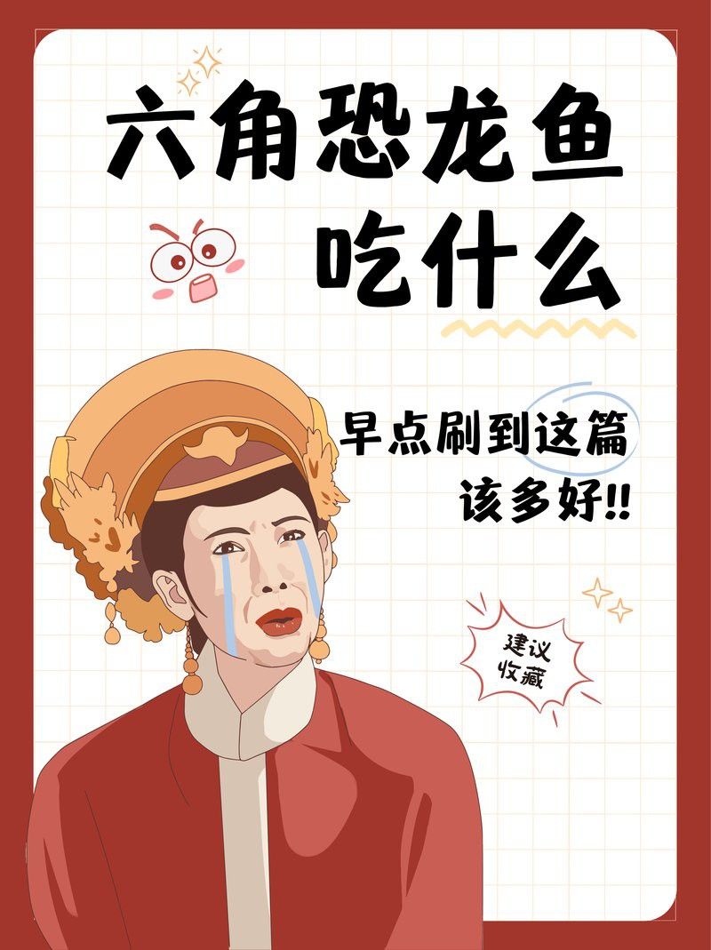 恐龍魚能不能吃蝦肉