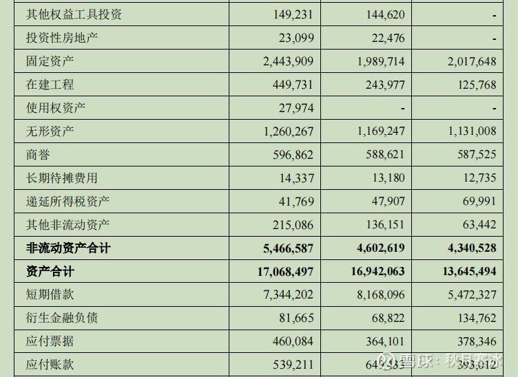 金龍魚的資產負債表：金龍魚公司資產負債表