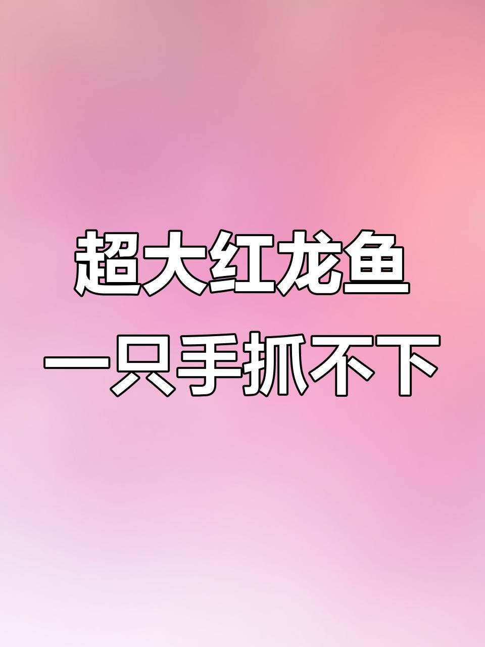 如何烹飪超血紅龍魚以保留其營養(yǎng)？