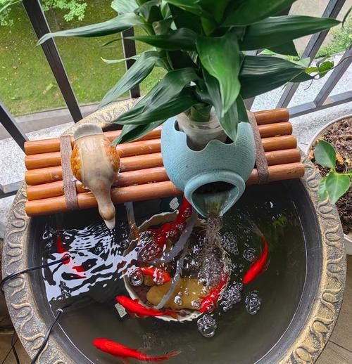 金龍魚造景圖