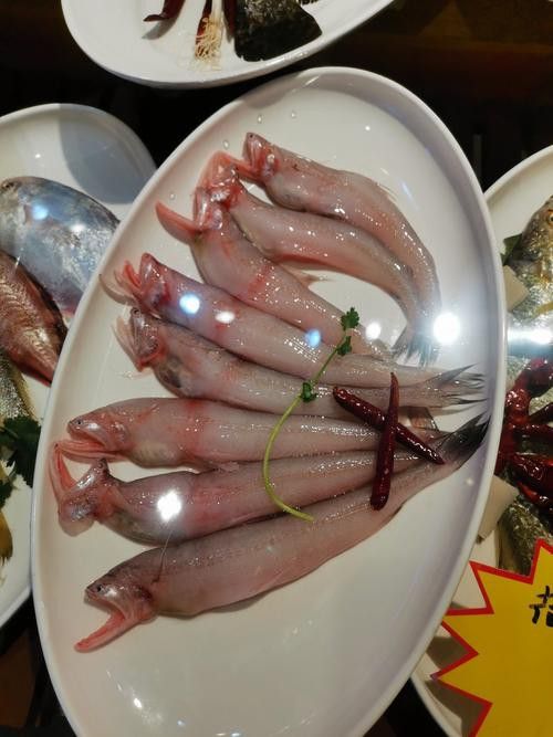 能提供龍頭魚的烹飪圖片嗎？