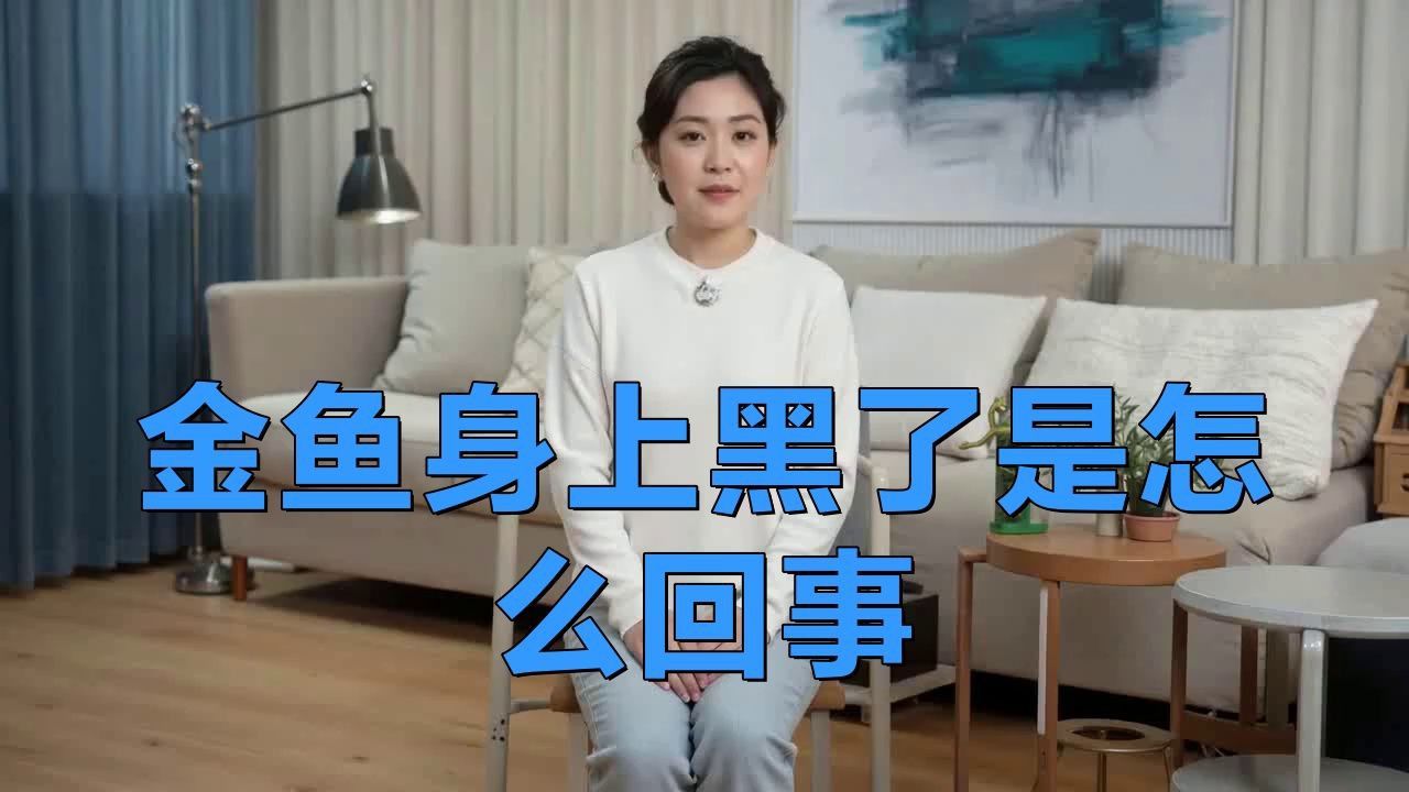 金魚發黑后多久會恢復？