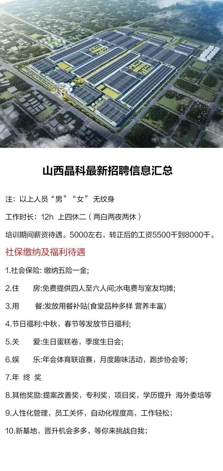 山西金龍魚區(qū)域經(jīng)理